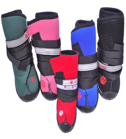 Neoprene dog clearance shoes