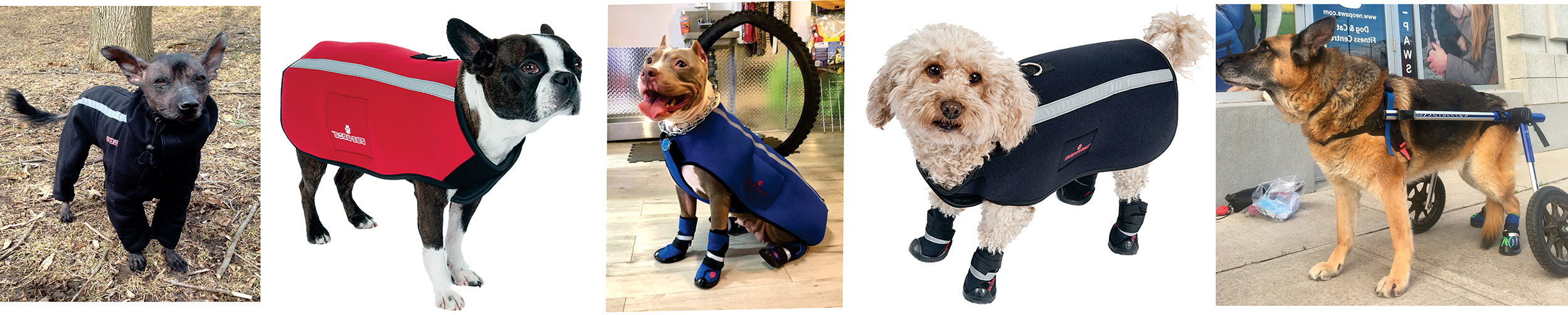 neo paws dog boots