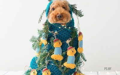 Christmas & Pets