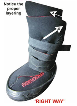 Neo-Paws sale original high performance orthopedic dog shoes worn the right way, sizes M-, XL+, XXL