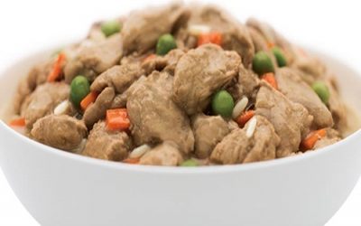 GLUTEN AND PETS
