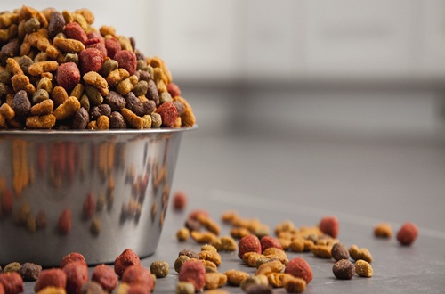 PET FOOD RECALLS – THE TRUTH ABOUT MELAMINE