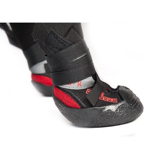 neoprene boots for dogs
