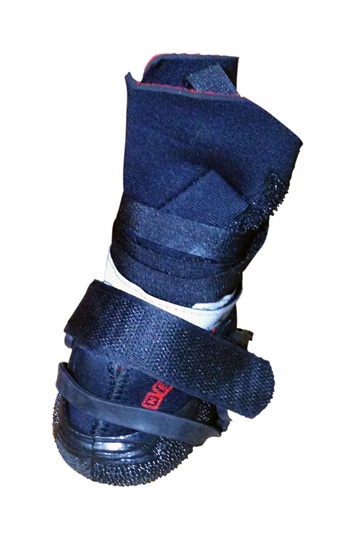 Neo-Paws blue ice and snow traction cleats for dogs, paw protection in winter