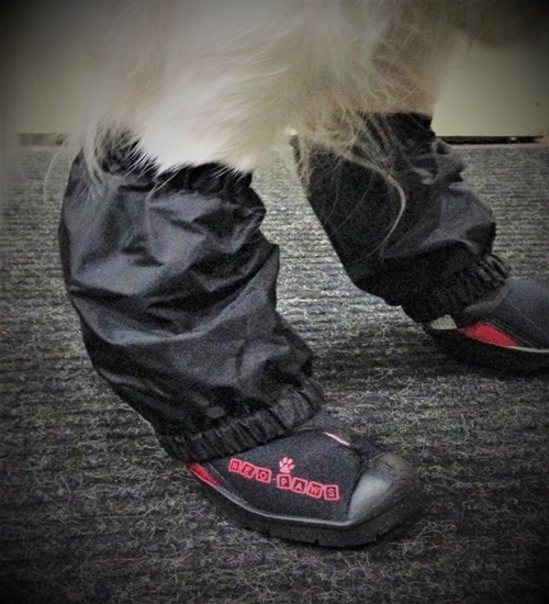 BOOT COVERS NEO PAWS