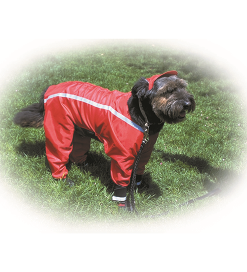 Dog Trousers Waterproof Dog Trousers Dog Suit Overall Dog Suit  Etsy  Dog  suit Pet clothes Trousers