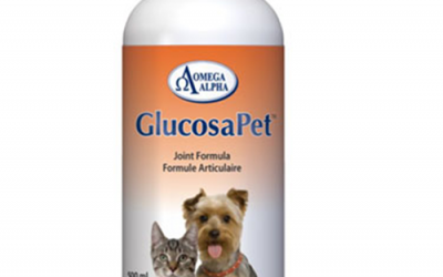 The importance of glucosamine for pets
