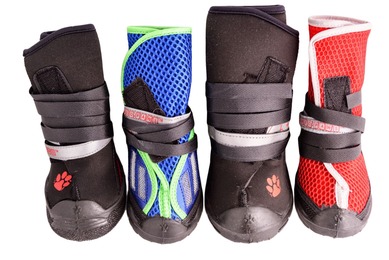 Roanna the dog wearing Neo-Paws boots outdoors