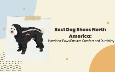 Best Dog Shoes North America: How Neo-Paws Ensures Comfort and Durability