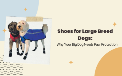 Shoes for Large Breed Dogs: Why Your Big Dog Needs Paw Protection