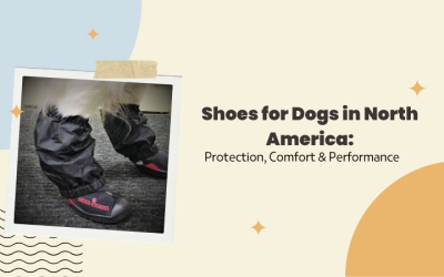 Shoes for Dogs in North America: Protection, Comfort & Performance
