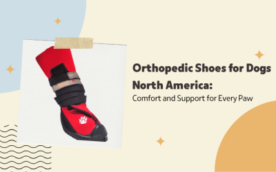 Orthopedic Shoes for Dogs North America: Comfort and Support for Every Paw