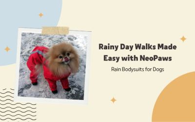 Rainy Day Walks Made Easy with NeoPaws Rain Bodysuits for Dogs