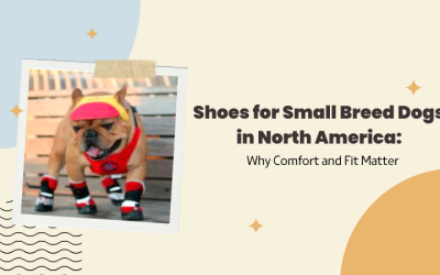 Shoes for Small Breed Dogs in North America: Why Comfort and Fit Matter