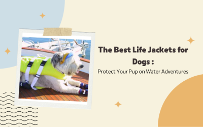 The Best Life Jackets for Dogs : Protect Your Pup on Water Adventures