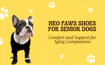 Neo Paws Shoes for Senior Dogs: Comfort and Support for Aging Companions