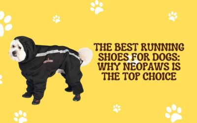 The Best Running Shoes for Dogs: Why Neo Paws Is the Top Choice