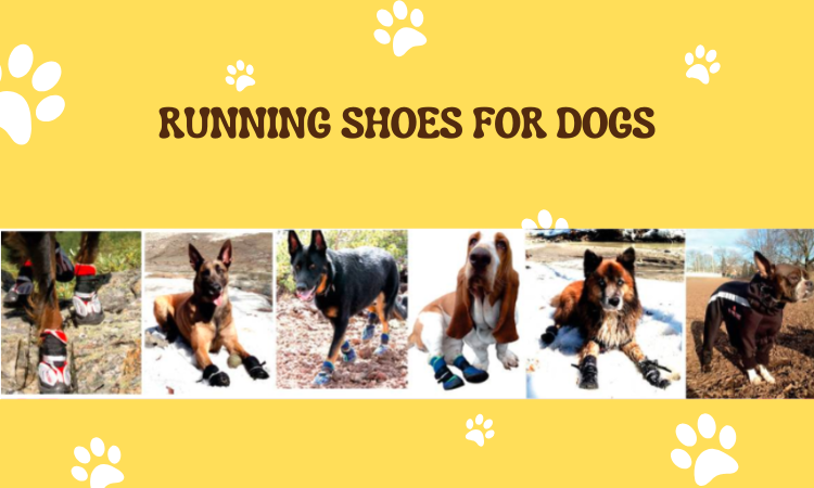 Running Shoes for Dogs