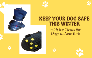 Keep Your Dog Safe This Winter with Ice Cleats for Dogs in New York
