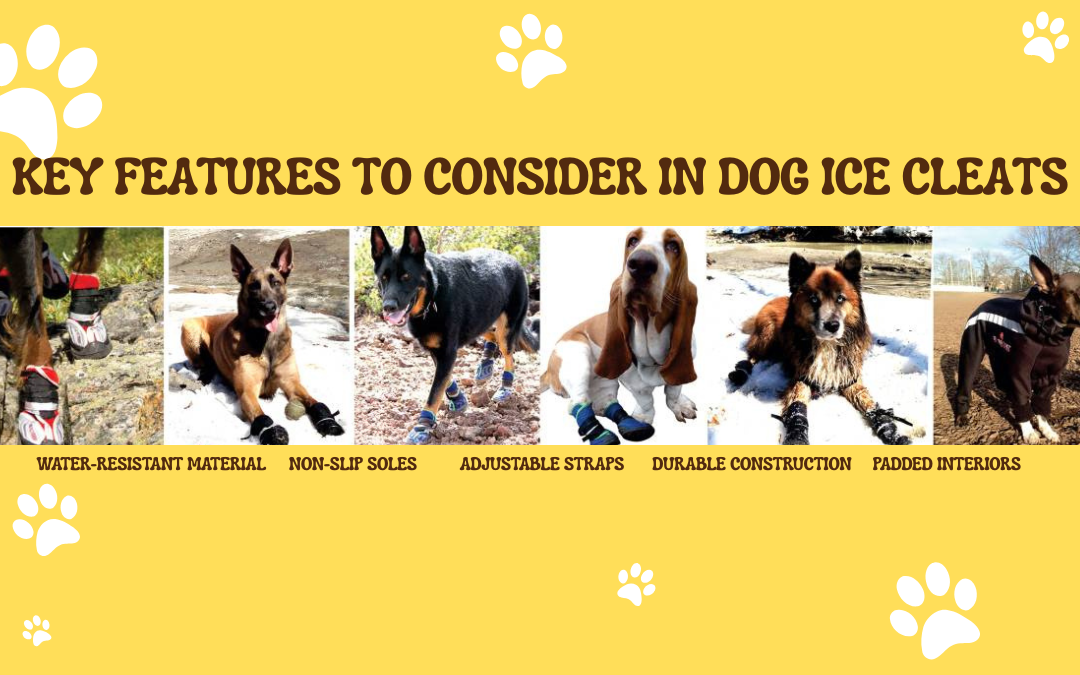 Key Features to Consider in Dog Ice Cleats