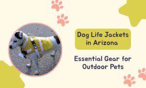 Dog Life Jackets in Arizona: Essential Gear For Outdoor Pets