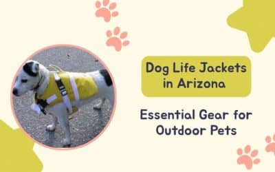 Dog Life Jackets in Arizona: Essential Gear For Outdoor Pets