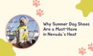 Why Summer Dog Shoes Are a Must-Have in Nevada’s Heat