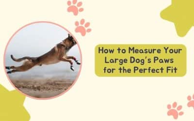 How to Measure Your Large Dog Paws for the Perfect Fit