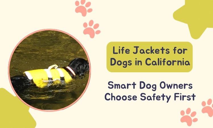 life jackets for dogs California