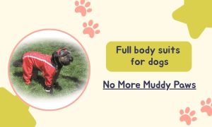 Why Full Body Suits for Dogs Are a Game-Changer for Pet Owners