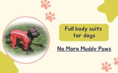 Why Full Body Suits for Dogs Are a Game-Changer for Pet Owners
