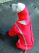 Neo-Paws XXL rain body suit waterproof full-body dog rain gear