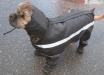 Neo Paws waterproof dog rain jacket for outdoor walks