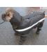 Neo-Paws waterproof dog rain jacket to keep pets dry and comfortable