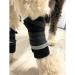 Neo-Paws leg wraps for dogs provide support, protection, and comfort