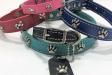 Neo-Paws decorated leather dog collar available in green, blue, and red
