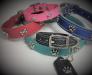 Neo-Paws decorated leather dog collar available in green, blue, and red