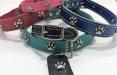 Neo-Paws decorated leather dog collar available in green, blue, and red