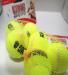 Neo-Paws KONG!™ Squeaky Balls dog toy for interactive play