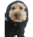 Neo-Paws fleece suits to keep dogs warm and comfortable