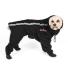 Neo-Paws black fleece hood to keep dogs warm and cozy