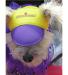 Neo-Paws purple dog hat and visor for sun protection