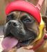 Neo-Paws red dog hat and visor for sun protection and style