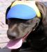 Neo-Paws blue dog hat and visor for sun protection and style