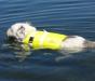 Neo-Paws life vest and jacket for dogs, providing safety and buoyancy