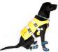 Neo-Paws life vest and jacket for dogs, providing safety and buoyancy