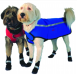 Neo Paws dogs wearing reflective jackets and protective shoes