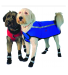 Neo-Paws blue and red neoprene jackets for dogs on sale