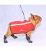 Neo-Paws all-new red neoprene jacket for dogs
