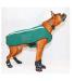 Neo-Paws all-new green neoprene jacket for dogs